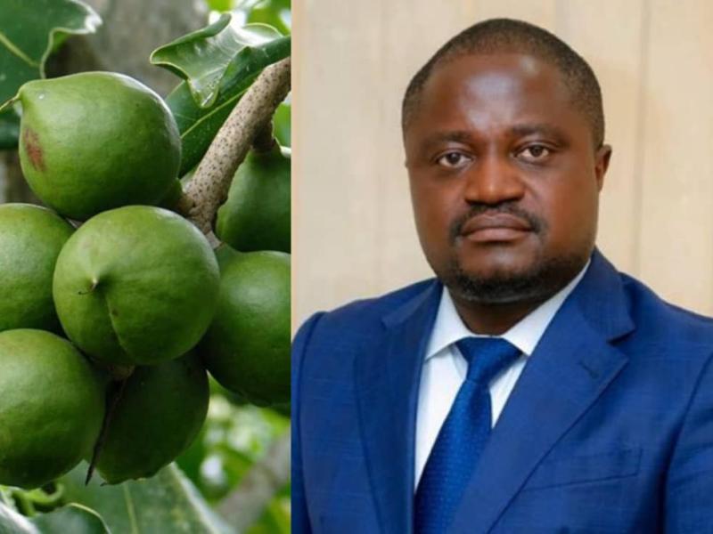 Photo d'illustration