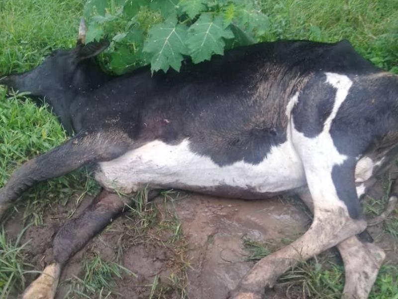 Photo d’illustration