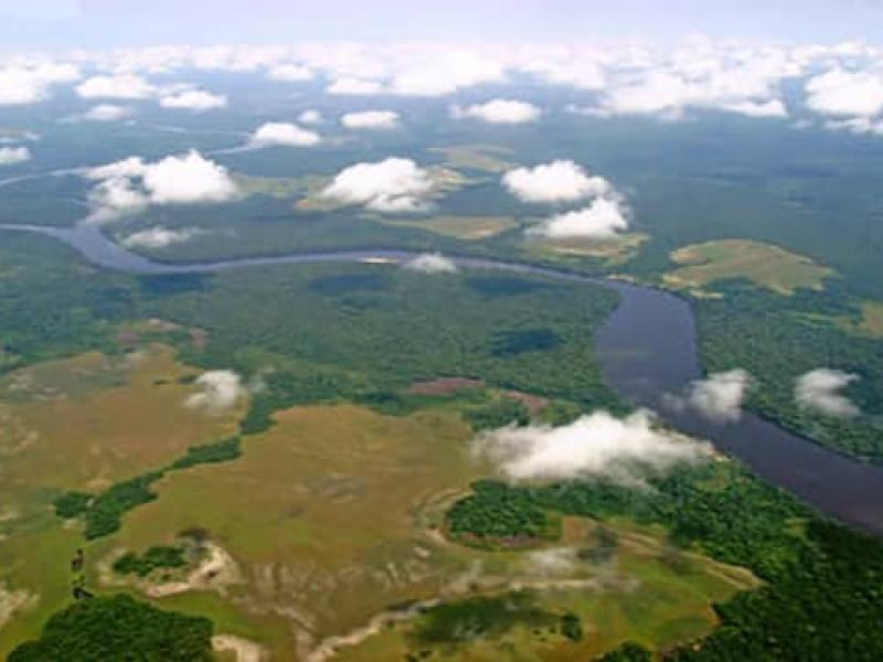 Vue aérienne du Parc National de la Salonga [photo d'illustration]