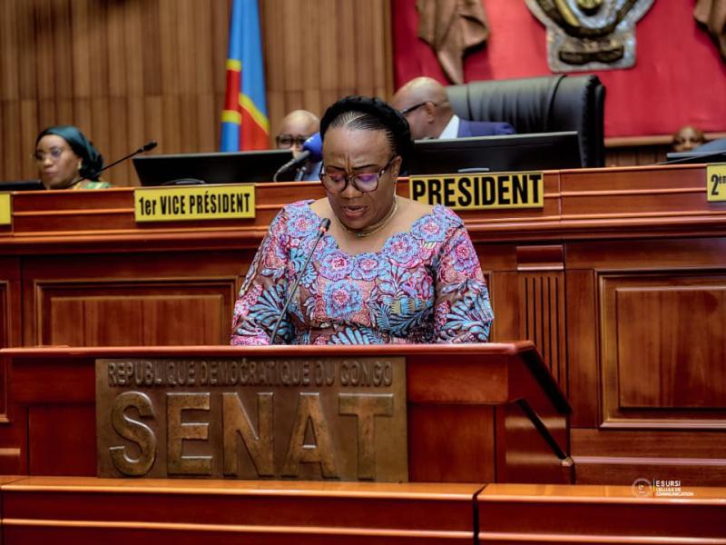 La ministre de l'ESU Marie-Thérèse Sombo devant les sénateurs [photo d'illustration]