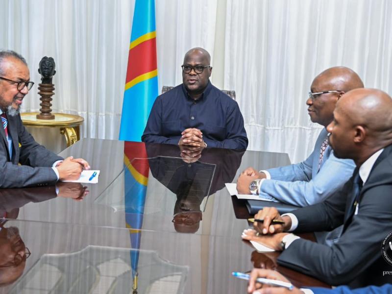 Le chef de l'État Félix Tshisekedi lors d'une réunion avec la délégation de l'OMS, en présence de quelques membres du gouvernement congolais, lundi 01 juin 2026