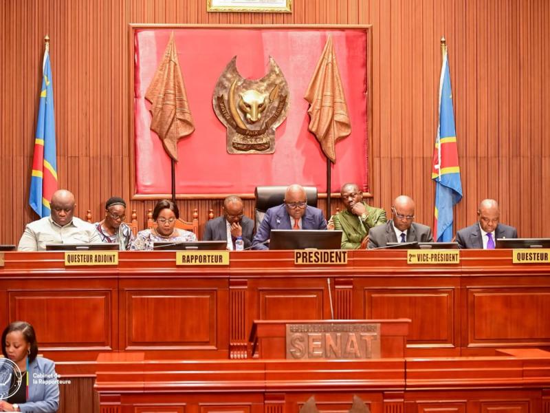 Une séance plénière au sénat en RDC, jeudi 04 juin 2026.