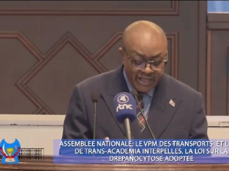 Le DG de Trans Académia Georges Ongelo lors de son audition à l'Assemblée nationale, vendredi 12 juin 2026.