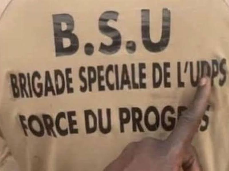 Brigade spéciale de l’UDPS,  force du progrès [photo d'illustration]