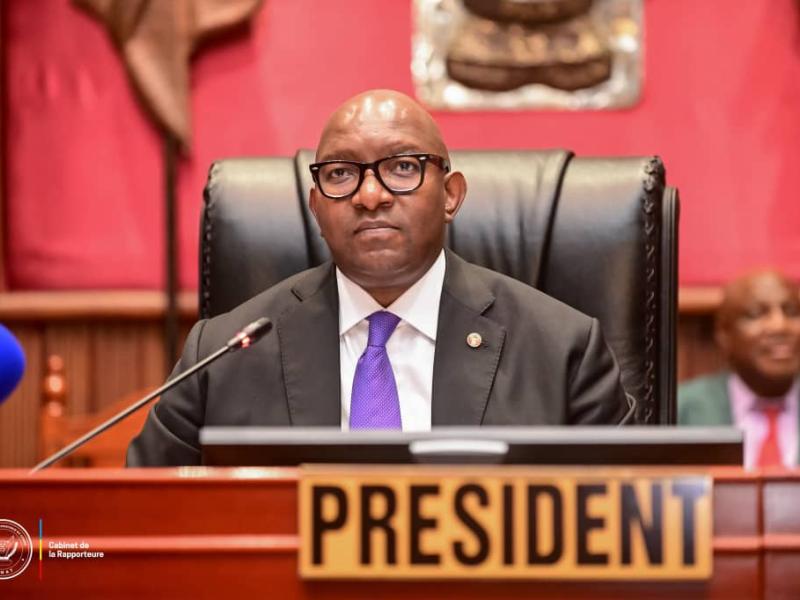Michel Sama Lukonde, président de la Chambre haute du Parlement de la RDC