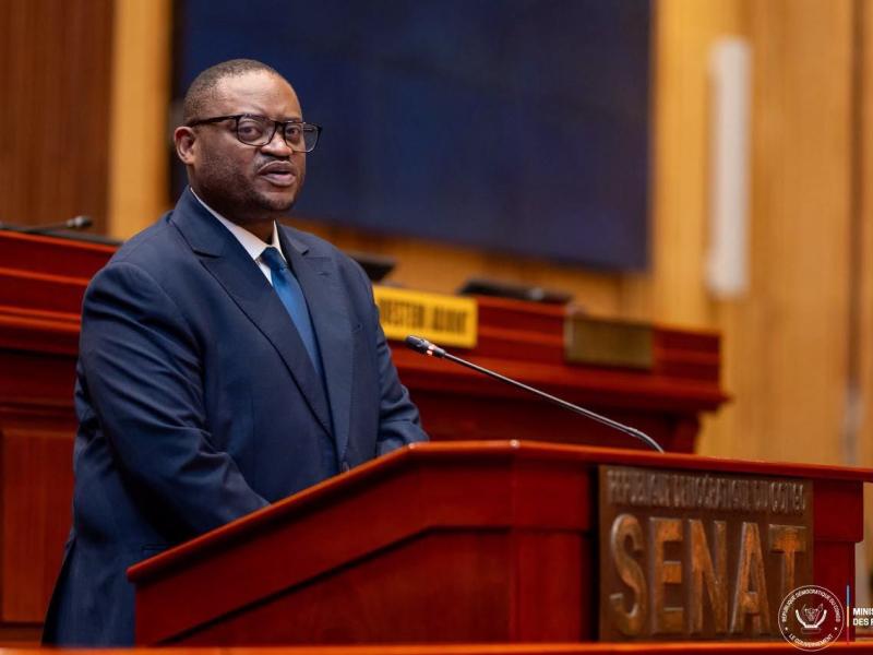 Le ministre des Finances, Doudou Fwamba, lors d’une intervention au Sénat de la RDC [photo d'illustration]