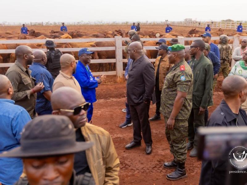 Félix Tshisekedi inspecte les installations agro-industrielles de Kaniama-Kasese [photo d'illustration]