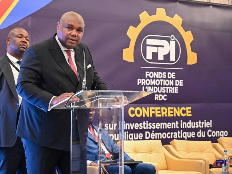 Blaise Mastaky Birindwa, Directeur général adjoint du FPI