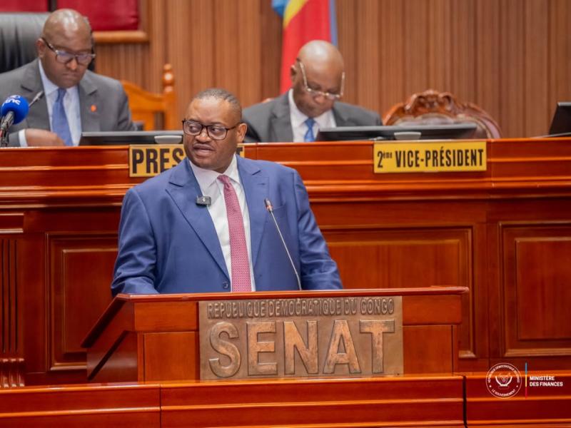 Le ministre des Finances, Doudou Fwamba Likunde Li-Botayi,  lors d’une intervention au Sénat de la RDC