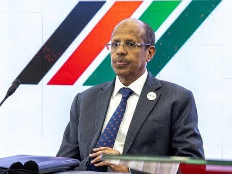 Le président de la Commission de l’UA, Mahmoud Ali Youssouf [photo d'illustration]