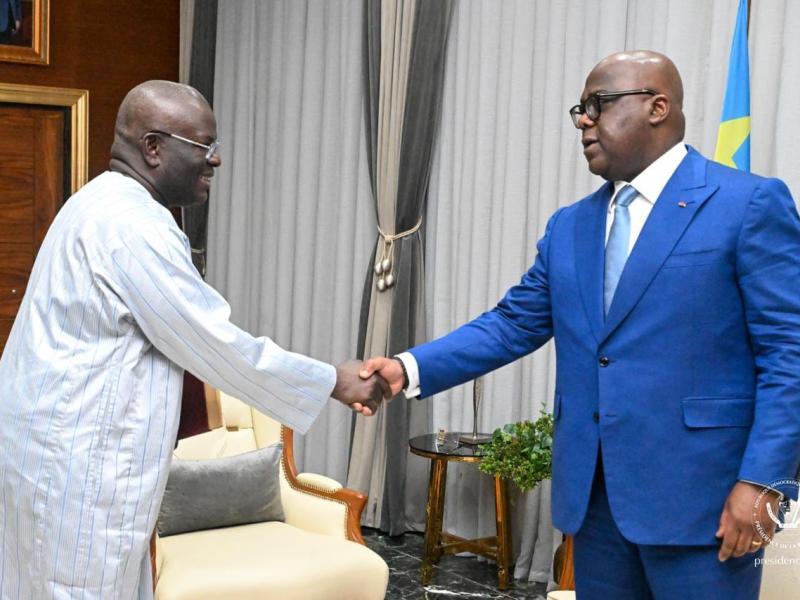 Le chef de l'État Félix Tshisekedi et Amadou Diagne, ambassadeur itinérant du Président gambien Adama Barrow, vendredi 28 août 2026, à Kinshasa
