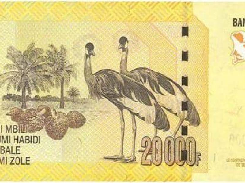 Un billet de 20 000 francs congolais