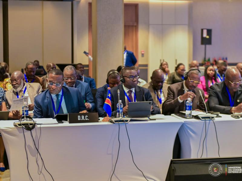 La délégation du gouvernement congolais à Lusaka composée du ministre du commerce extérieur Julien Paluku Kahongya et du ministre du Plan Guylain Nyembo