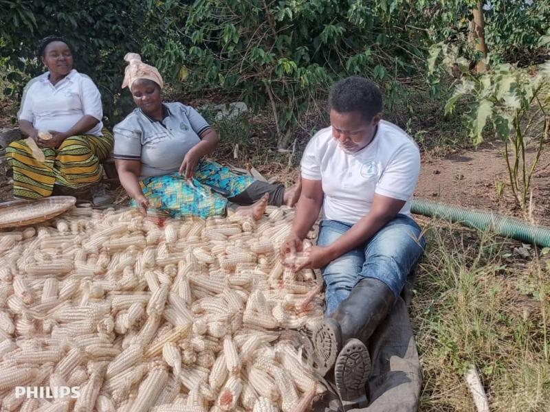 Des femmes du bassin du Nil après récolte du maïs