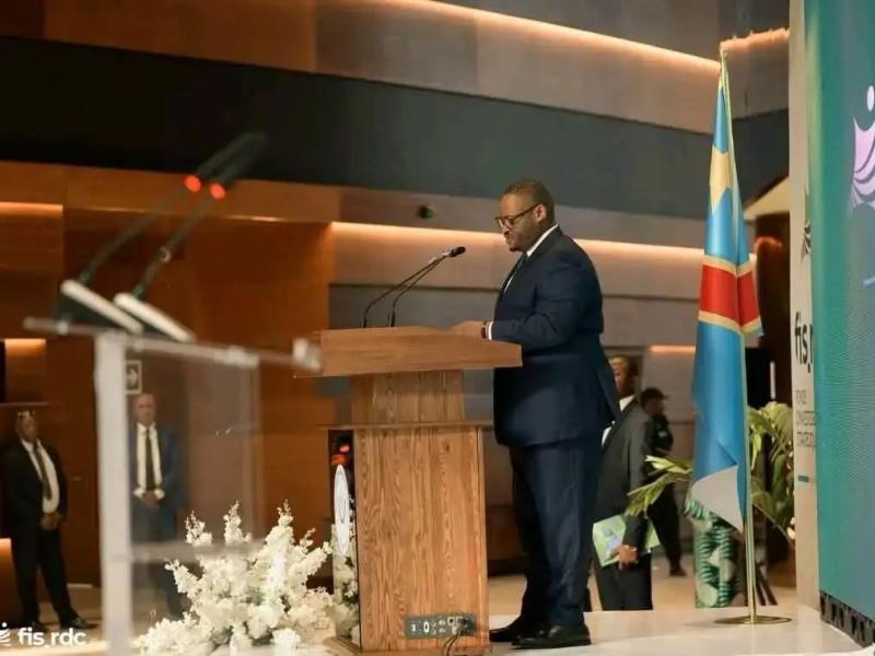 Doudou Fwamba Likunde Li-Botayi, ministre des Finances de la RDC