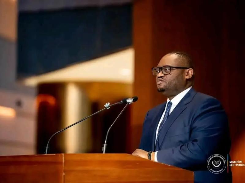 Doudou Fwamba Likunde Li-Botayi, ministre des Finances de la RDC