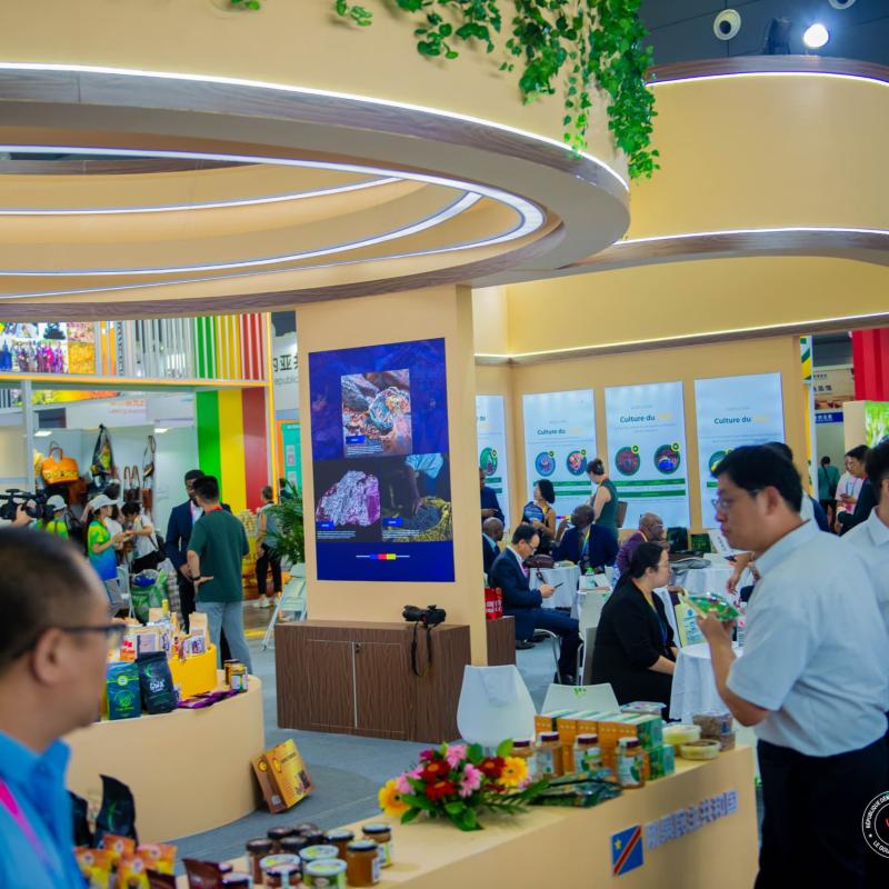 Des produits congolais exposés à Changsha, lors de l’ouverture de la 4ème édition de l'Exposition Sino-Africaine