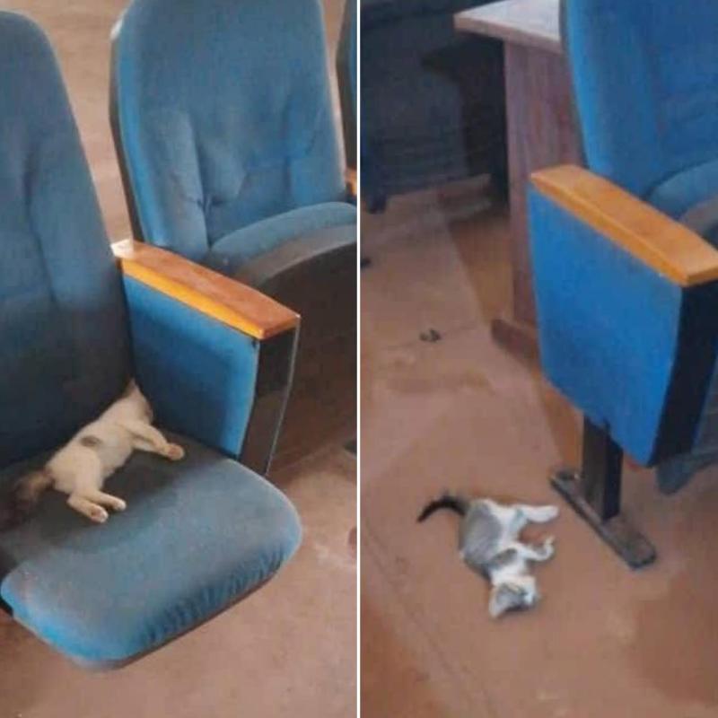 Photo d'illustration