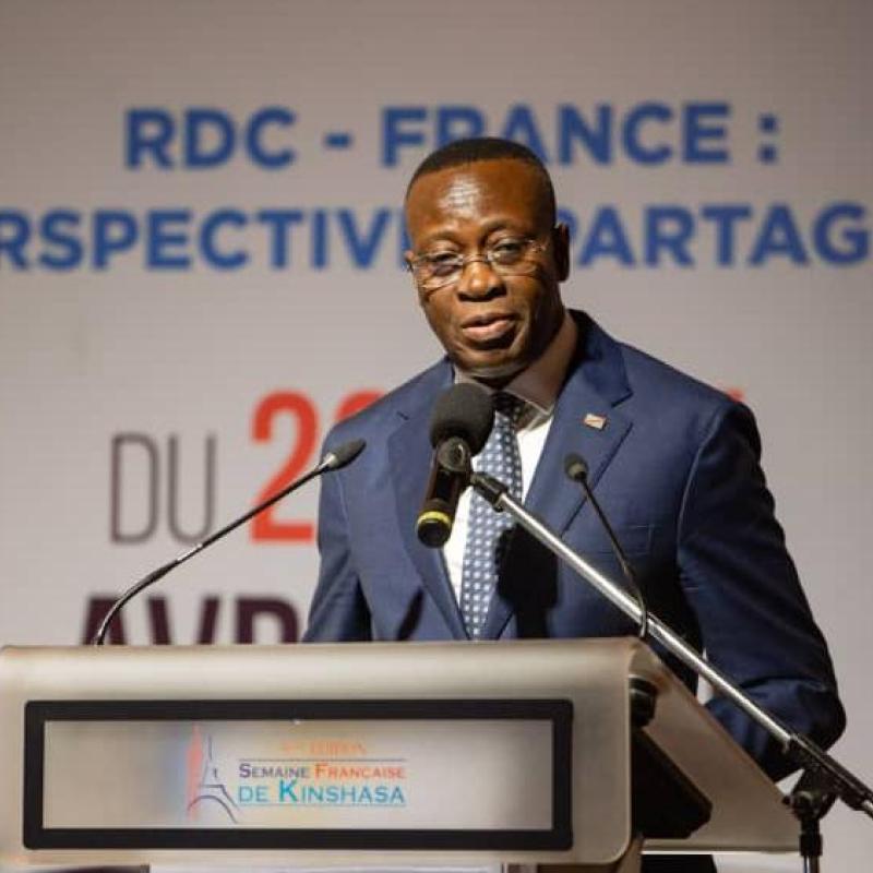 Daniel Mukoko Samba, Vice-premier ministre, ministre de l'Économie nationale de la République démocratique du Congo