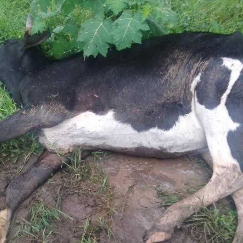 Photo d’illustration