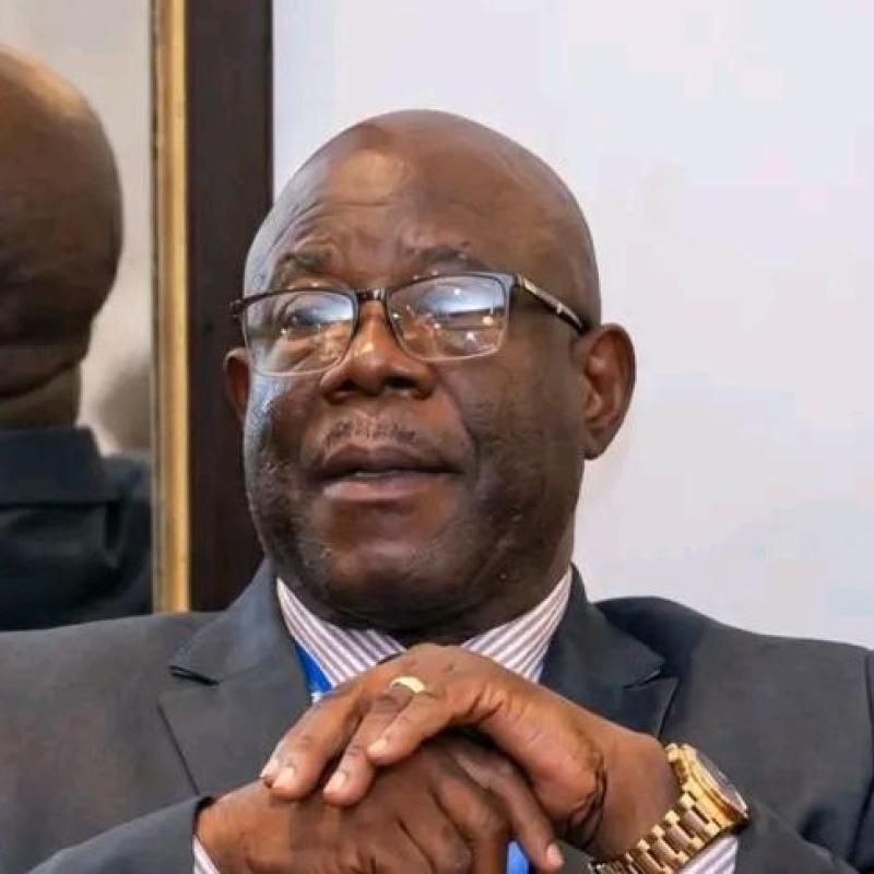 Timothée Menayame élu président de la Linafoot