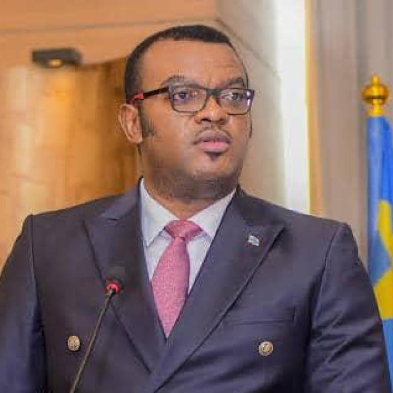 Jean-Pierre Lihau Ebua, VPM de la Fonction publique en RDC