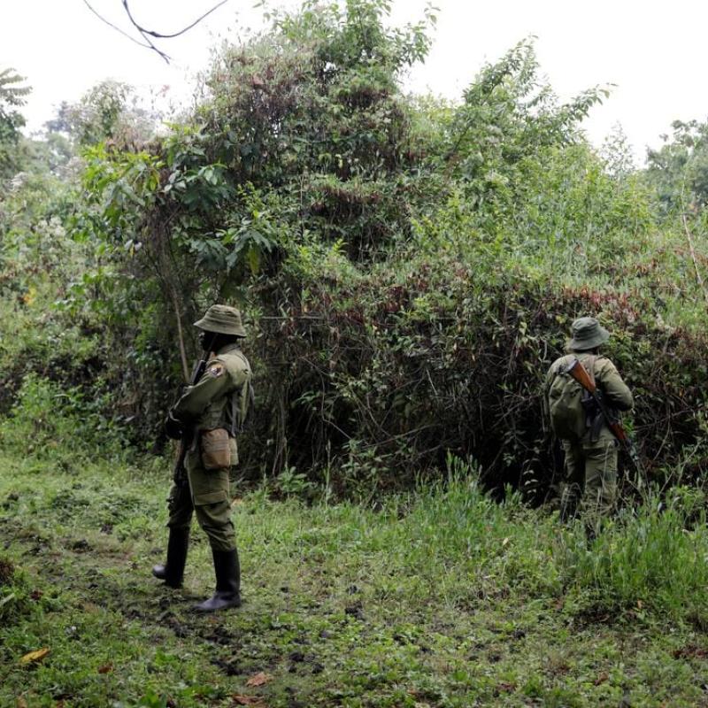 Des écogardes dans le parc national des Virunga [photo d'illustration]