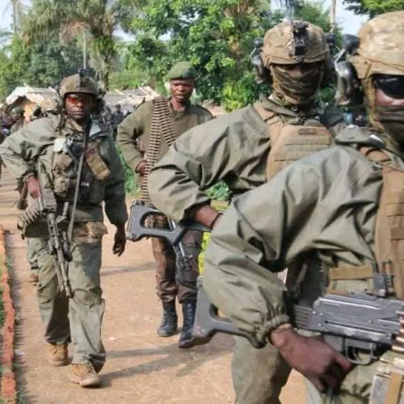 Les forces armées congolaises [photo d'illustration]