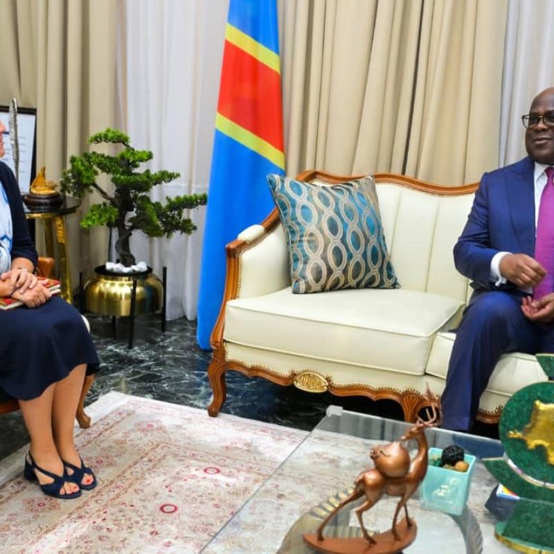 Roxane de Bilderling, ambassadrice de Belgique en RDC, reçue par le président Félix Tshisekedi, en novembre 2024 [photo d'illustration]