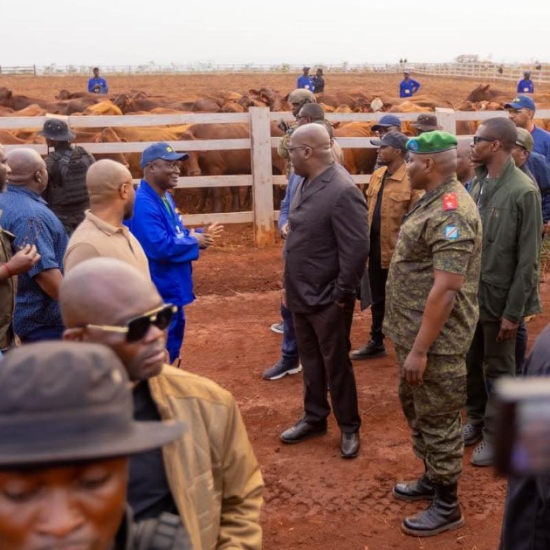 Félix Tshisekedi inspecte les installations agro-industrielles de Kaniama-Kasese [photo d'illustration]