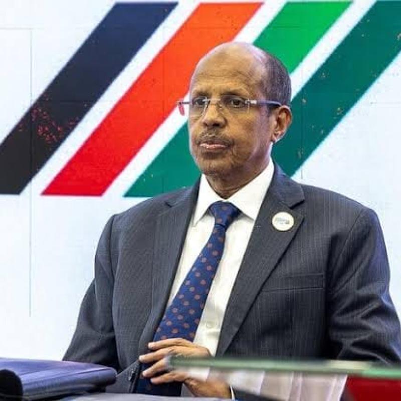 Le président de la Commission de l’UA, Mahmoud Ali Youssouf [photo d'illustration]