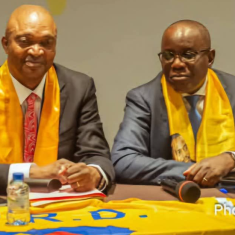 Emmanuel Ramazani Shadary et Aubin Minaku [photo d'illustration]