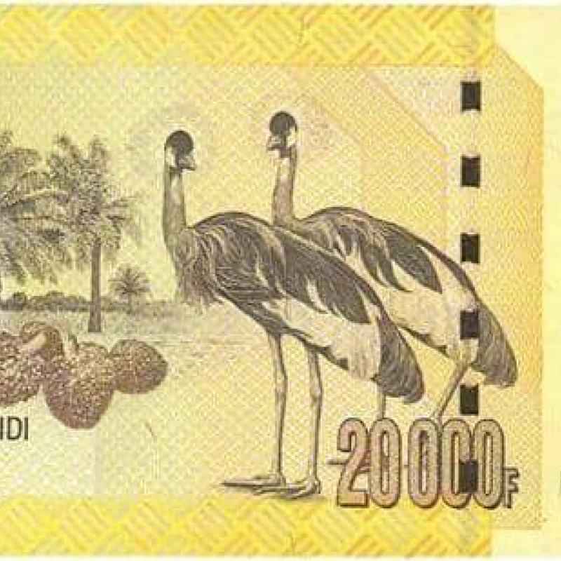 Un billet de 20 000 francs congolais