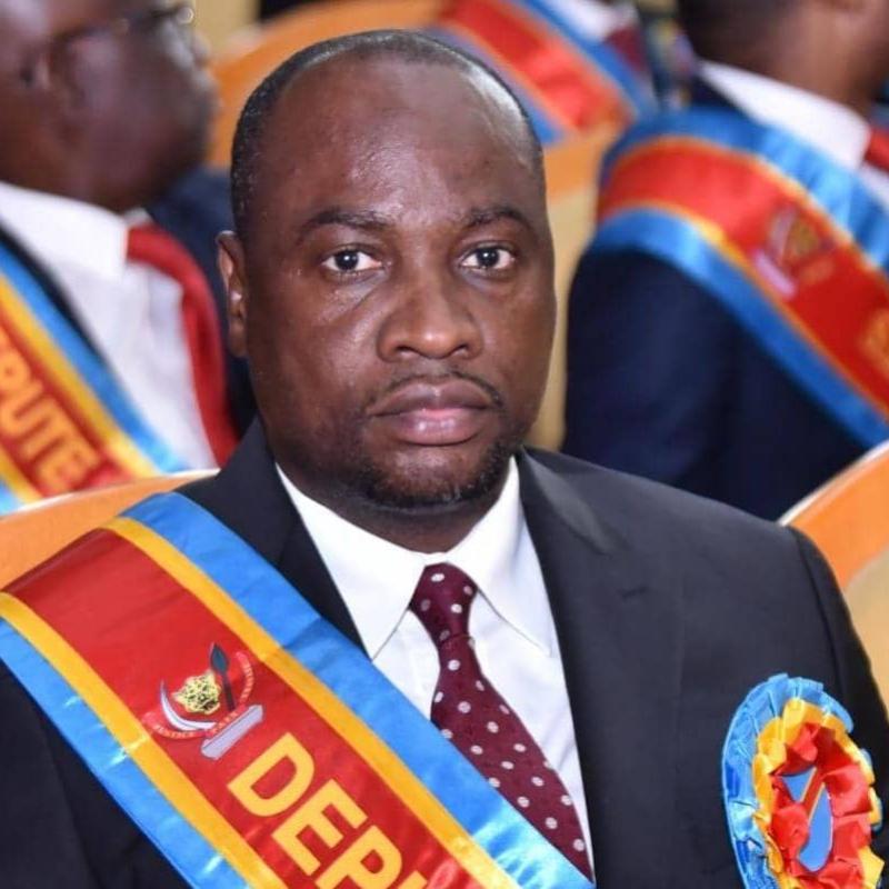 Le député national Francis Tshibalabala