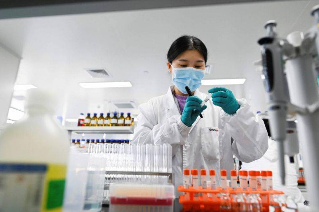 Une chercheuse dans un laboratoire produisant le vaccin Sinovac, à Pékin. Photo AFP / WANG Zhao