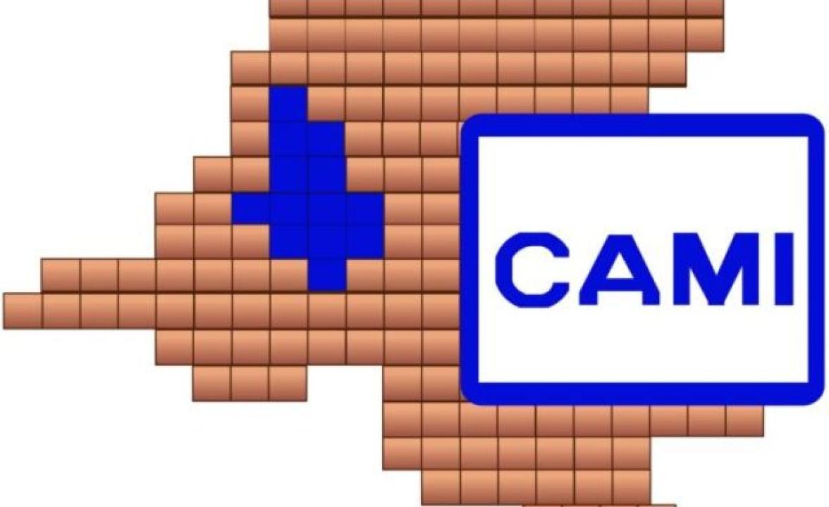 CAMICAMI