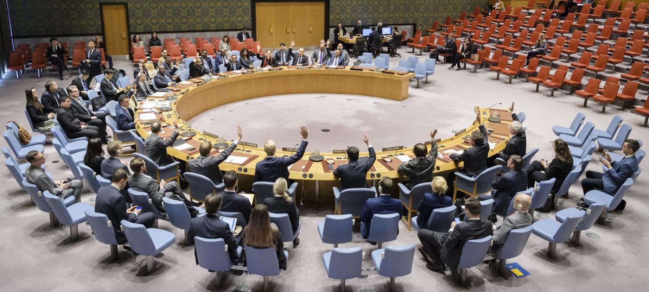 conseil de sécurité de l'onu
