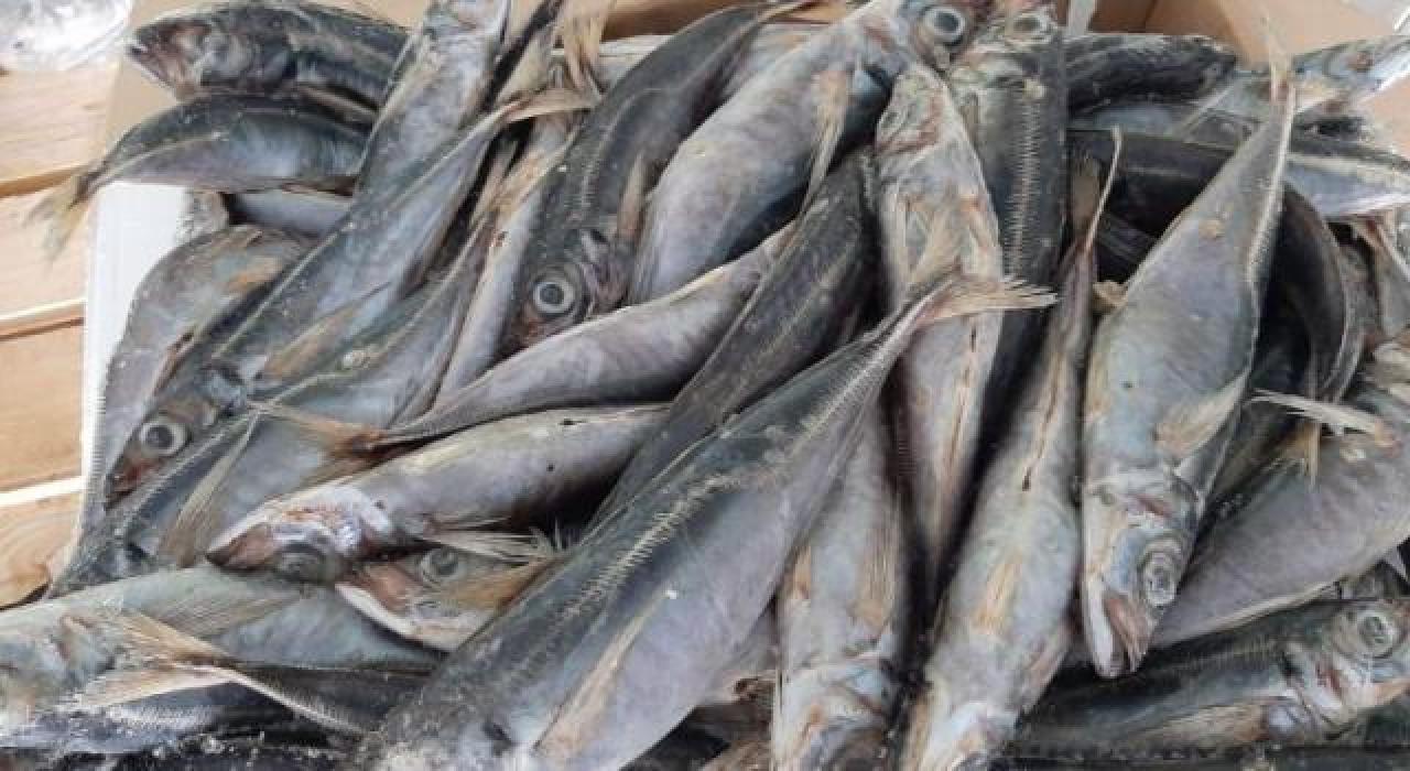 Rabais de prix des produits surgelés : par manque de moyens logistiques, la RDC peine à pêcher dans les eaux namibiennes !