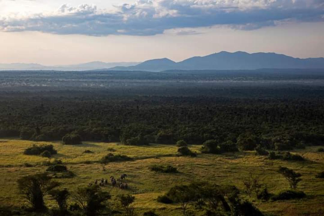 Le paysage du Parc National de Virunga