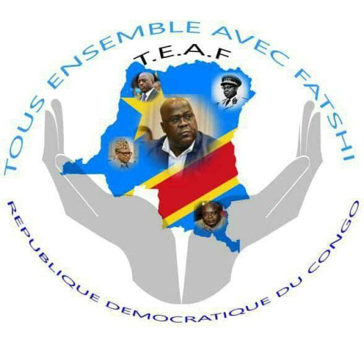 Logo de l'Asbl Tous ensemble avec FATSHI