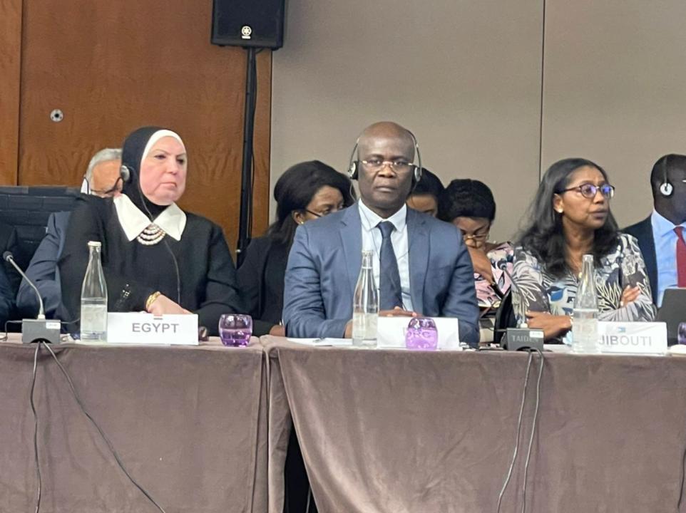 Le ministre du commerce extérieur, Jean Lucien Bussa au milieu de ses homologues africains, au sommet de l'Organisation Mondiale du Commerce