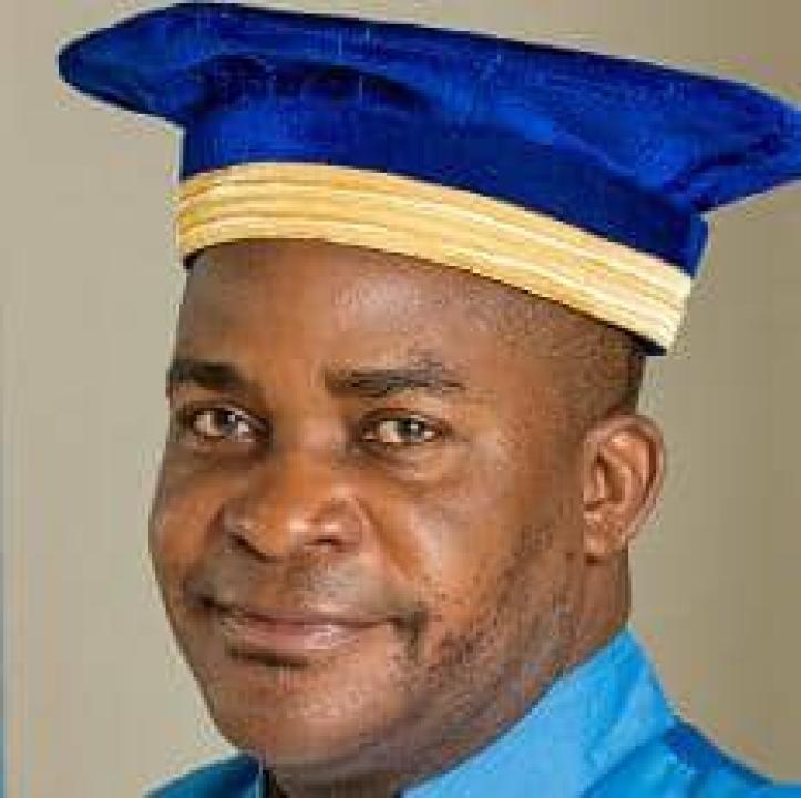 Le juge Dieudonné Kamuleta élu président de la cour constitutionnelle