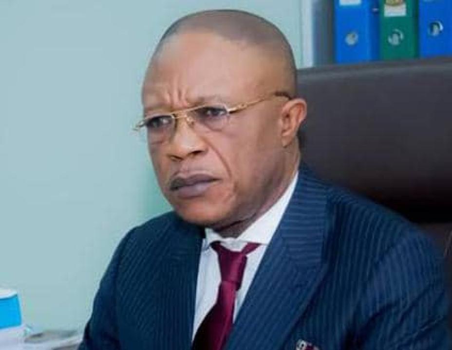 Lucien Ekofo, Directeur général de la SONAS
