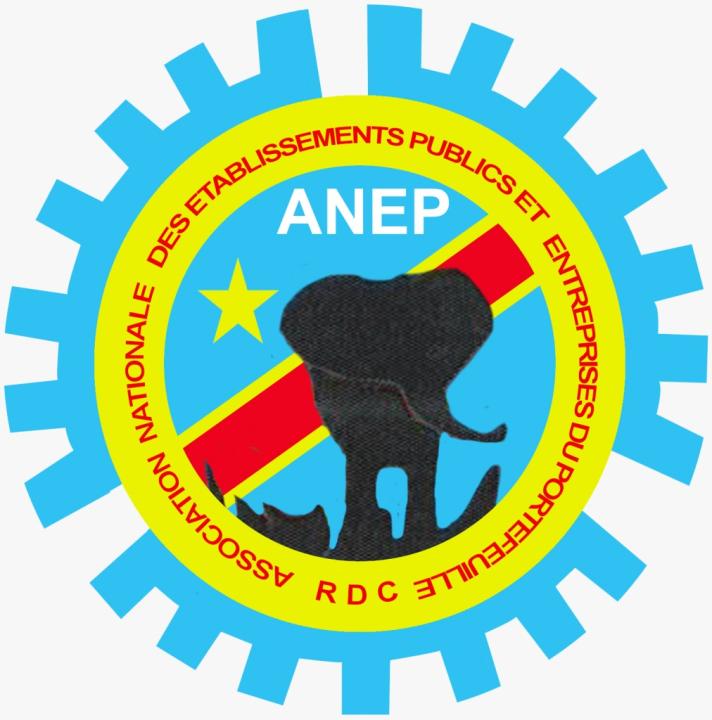 Logo ANEP