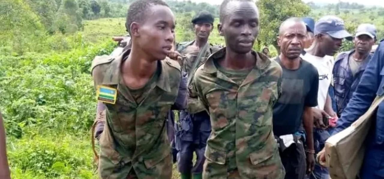 Deux rebelles en tenue militaire de RDF (Forces de la défense Rwandaise) arrêtés près de Rutshuru par les FARDC (Image d'illustration)