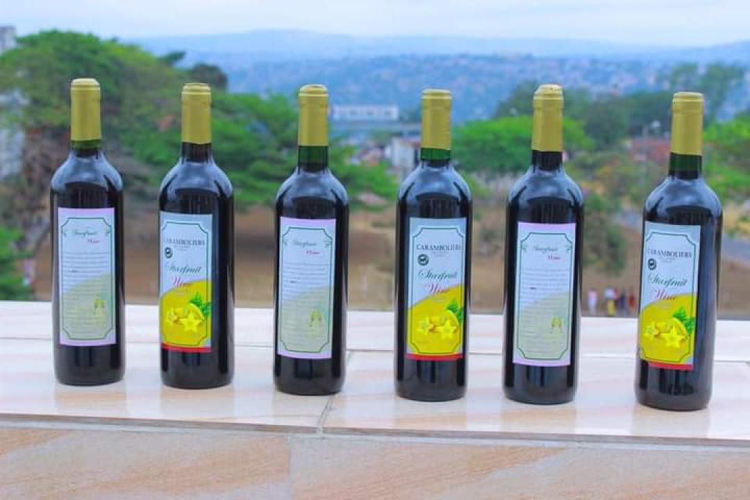 Échantillon de quelques bouteilles de vin fabriqués par les étudiants