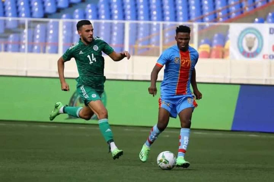 Un Léopard U23 en duel avec un Fennec d'Algérie. [Photo d'illustration]