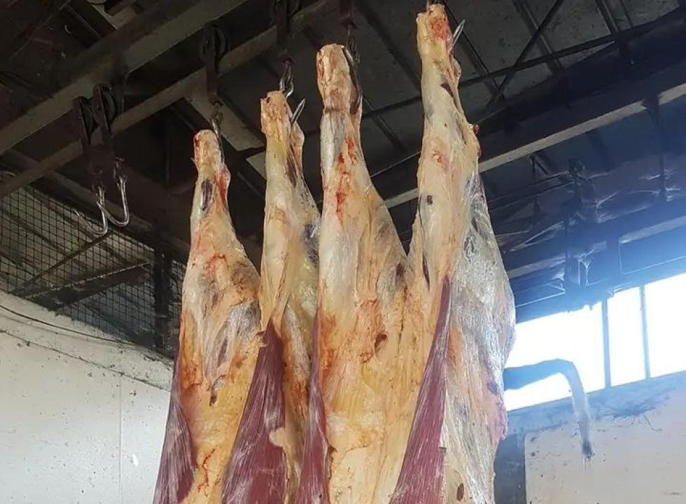 Des viandes des boeufs battus à la société abattoir de Goma[ photo d'illustration]