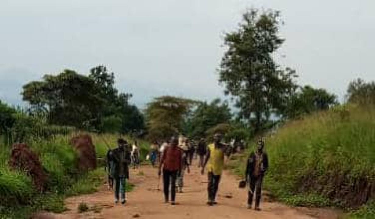 Les cultivateurs obligés de retourner dans leurs villages suite à la présence signalée des M23 aux alentours de Kibirizi