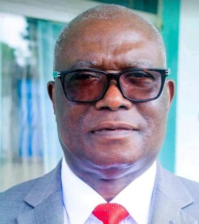 Hubert Mukuna, nouveau président de l'Udps